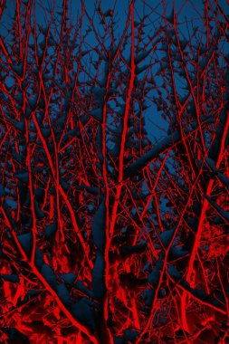 Soyut arkaplan. Çoklu renkli doku çizimi