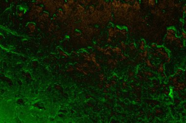 Soyut arkaplan. Çoklu renkli doku çizimi.