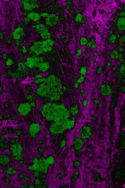 Soyut arkaplan. Çoklu renkli doku çizimi.