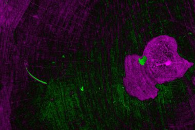 Soyut arkaplan. Çoklu renkli doku çizimi.