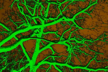 Soyut arkaplan, çok renkli arkaplan