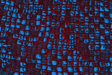 Soyut arkaplan. Çoklu renkli doku çizimi