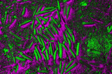 Soyut arkaplan. Çoklu renkli doku çizimi.
