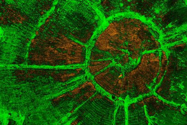 Soyut arkaplan, çok renkli arkaplan