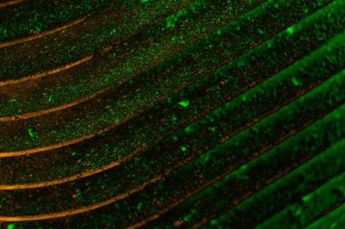 Soyut arkaplan. Çoklu renkli doku çizimi.