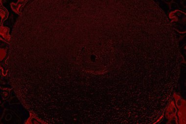 Soyut arkaplan. Çoklu renkli doku çizimi.