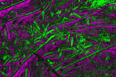 Soyut arkaplan. Çoklu renkli doku çizimi.