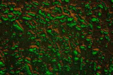 Soyut arkaplan. Çoklu renkli doku çizimi.