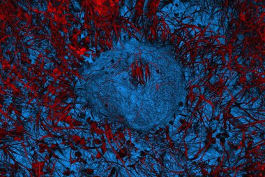 Soyut arkaplan, çok renkli arkaplan