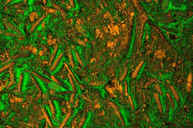 Soyut arkaplan. Çoklu renkli doku çizimi.