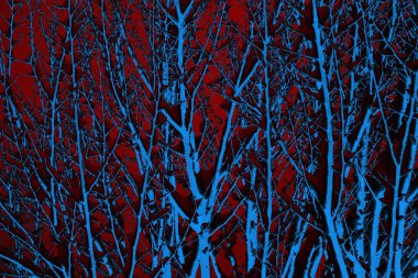 Soyut arkaplan. Çoklu renkli doku çizimi