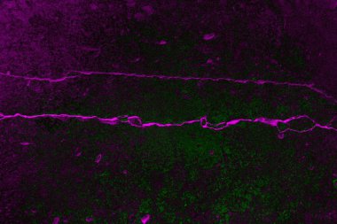 Soyut arkaplan. Çoklu renkli doku çizimi.