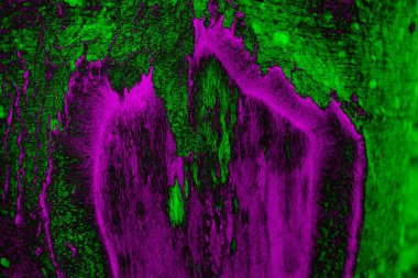 Soyut arkaplan. Çoklu renkli doku çizimi.