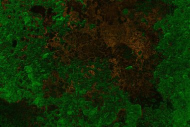 Soyut arkaplan. Çoklu renkli doku çizimi.