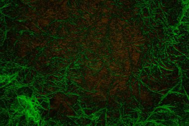 Soyut arkaplan, çok renkli arkaplan