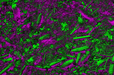 Soyut arkaplan. Çoklu renkli doku çizimi.