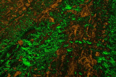 Soyut arkaplan, çok renkli arkaplan