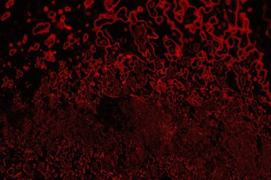 Soyut arkaplan. Çoklu renkli doku çizimi.