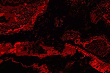 Soyut arkaplan. Çoklu renkli doku çizimi.