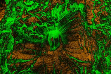 Soyut arkaplan, çok renkli arkaplan