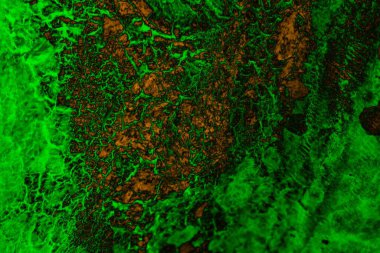 Soyut arkaplan, çok renkli arkaplan