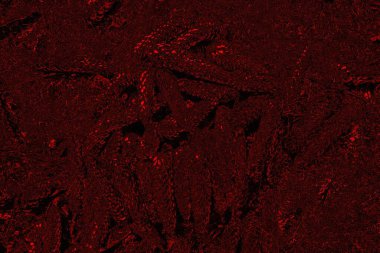 Soyut arkaplan. Çoklu renkli doku çizimi.