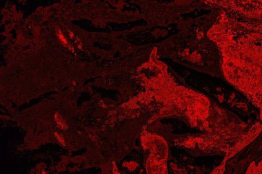 Soyut arkaplan. Çoklu renkli doku çizimi.