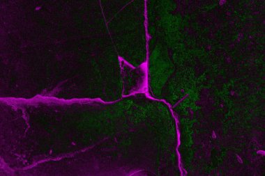 Soyut arkaplan. Çoklu renkli doku çizimi.