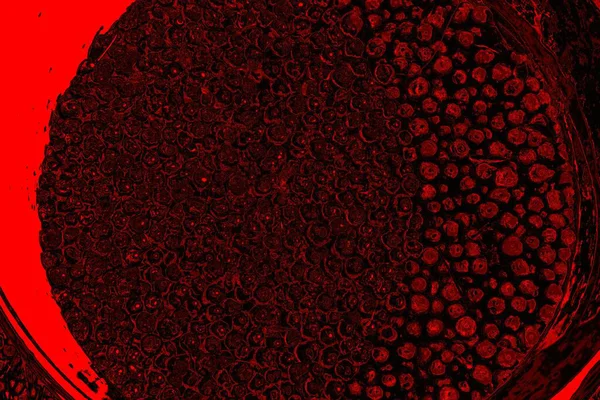 Soyut arkaplan. Çoklu renkli doku çizimi.