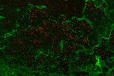 Soyut arkaplan. Çoklu renkli doku çizimi.