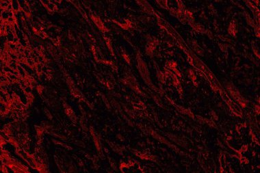 Soyut arkaplan. Çoklu renkli doku çizimi.