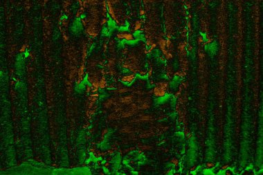 Soyut arkaplan. Çoklu renkli doku çizimi.