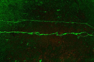 Soyut arkaplan. Çoklu renkli doku çizimi.