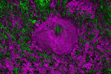 Soyut arkaplan. Çoklu renkli doku çizimi.