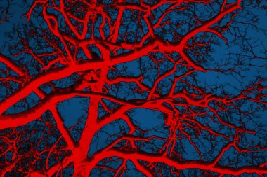 Soyut arkaplan. Çoklu renkli doku çizimi