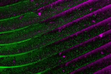 Soyut arkaplan. Çoklu renkli doku çizimi.
