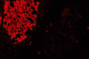 Soyut arkaplan. Çoklu renkli doku çizimi.