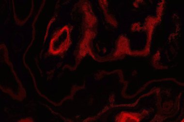 Soyut arkaplan. Çoklu renkli doku çizimi.