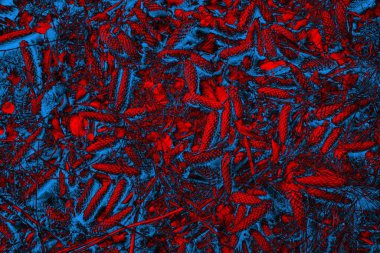 Soyut arkaplan. Çoklu renkli doku çizimi