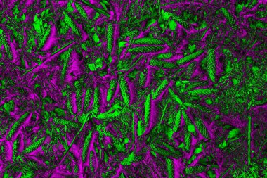 Soyut arkaplan. Çoklu renkli doku çizimi.