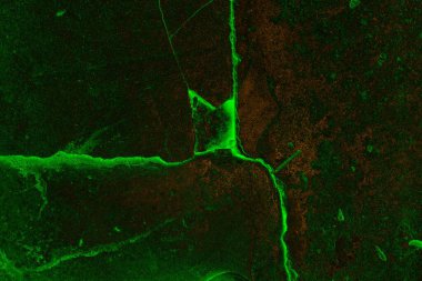 Soyut arkaplan. Çoklu renkli doku çizimi.