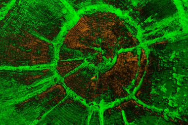 Soyut arkaplan. Çoklu renkli doku çizimi.