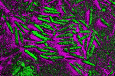Soyut arkaplan. Çoklu renkli doku çizimi.
