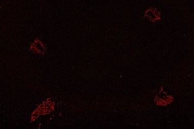 Soyut arkaplan. Çoklu renkli doku çizimi.