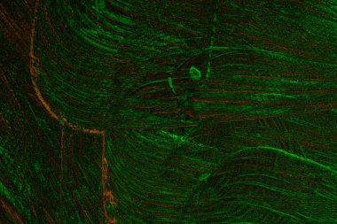 Soyut arkaplan. Çoklu renkli doku çizimi