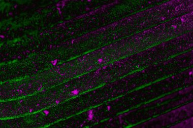 Soyut arkaplan. Çoklu renkli doku çizimi.