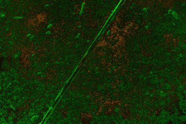 Soyut arkaplan. Çoklu renkli doku çizimi.