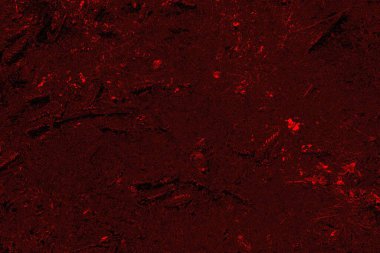 Soyut arkaplan. Çoklu renkli doku çizimi.