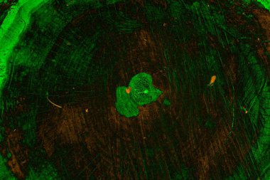 Soyut arkaplan. Çoklu renkli doku çizimi.