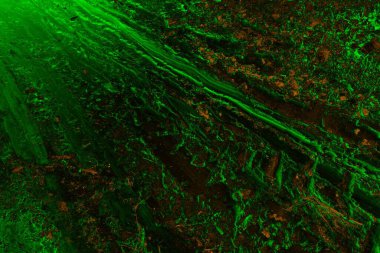 Soyut arkaplan. Çoklu renkli doku çizimi